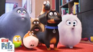 pets