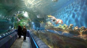 okeanarium