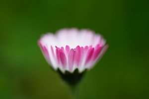 article6089011_filosofiya_i_lichnyj_krizis