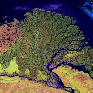 article6418481_vybory__v__dumu