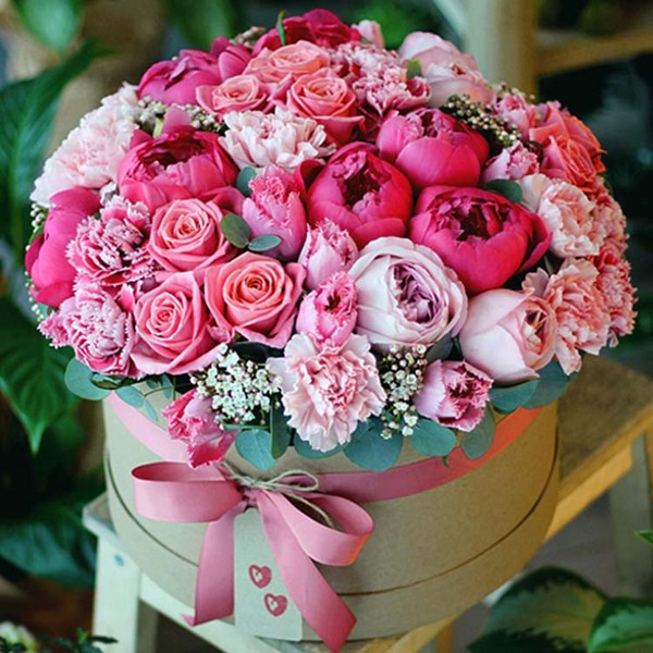 flowers_in_boxes_9.600x600.jpg