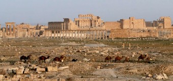 Пальмира освобождена от ИГ, последние новости Сирия: видео, историческая часть города под контролем армии САА
