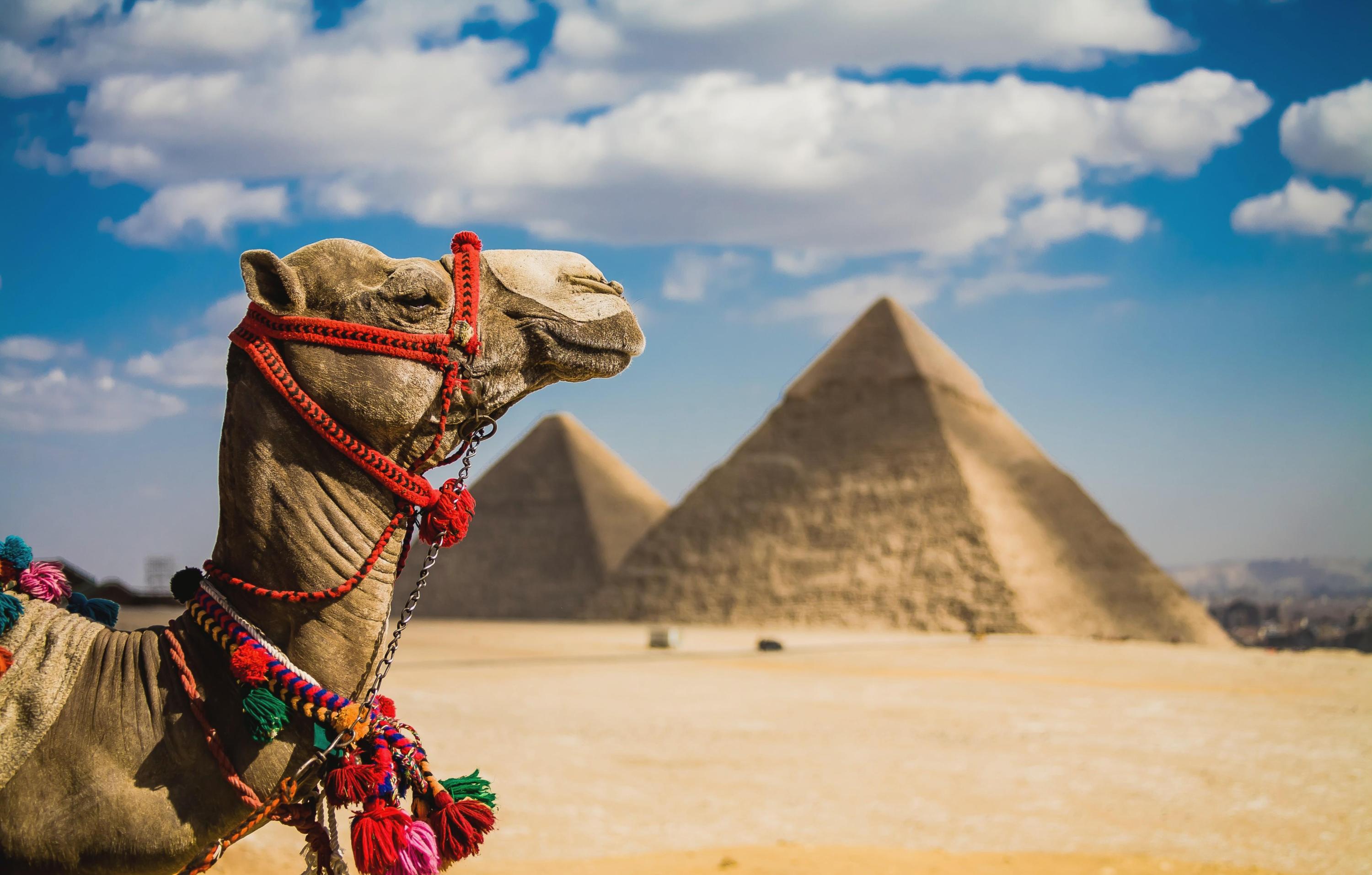 Отдых в Египте отзывы
