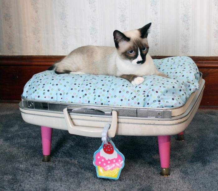 1488044379_snuggy-luggage-suitcase-pet-bed-vintage