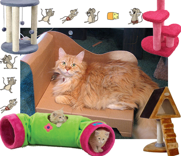 pets-furniture-cats1