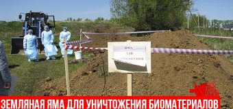 Утилизация биологических отходов