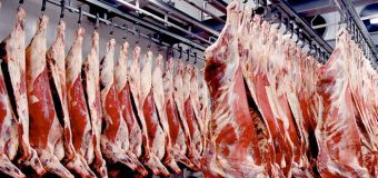Мясная промышленность: особенности производства