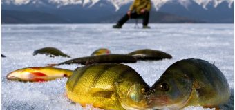 Полная подготовка к зимней рыбалке