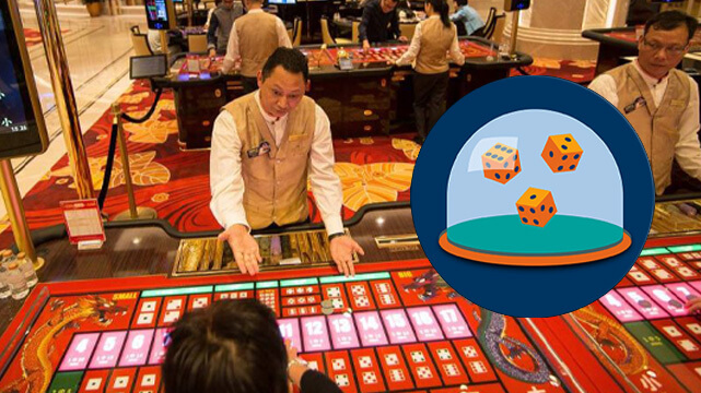 Что предлагают своим игрокам новые казино